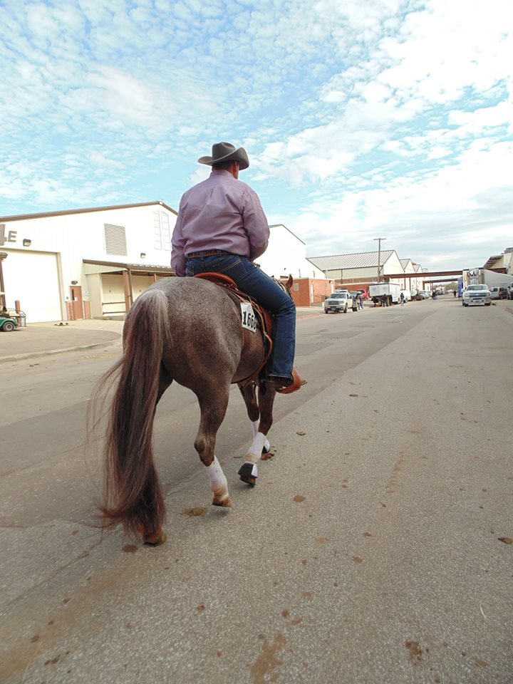 1656122_1388617898071932_1913586975_n