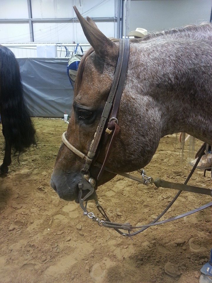 1688378_1385872548346467_1759643391_n