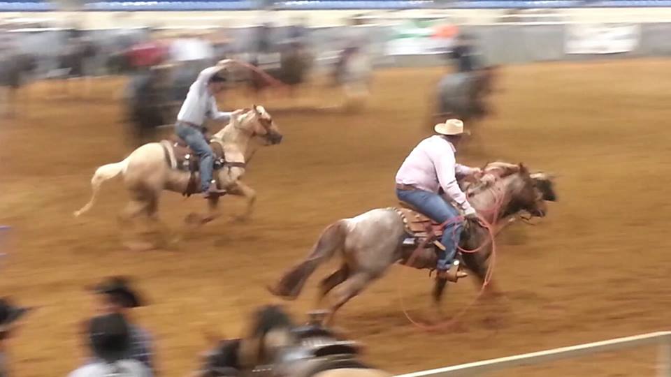 1794725_1385872588346463_1651097975_n