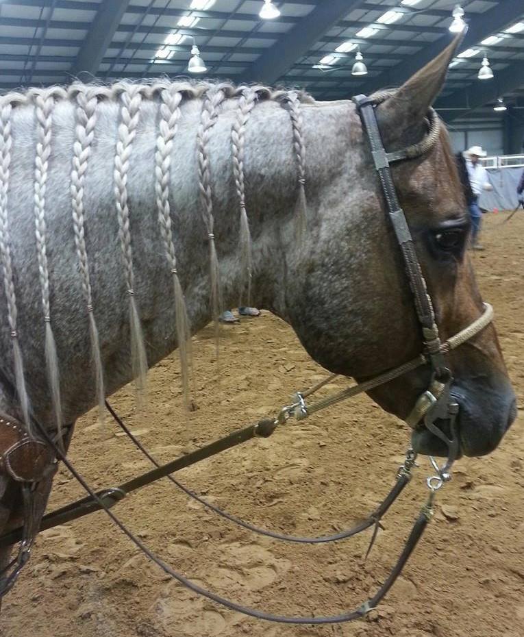 1901900_1385878335012555_593827577_n